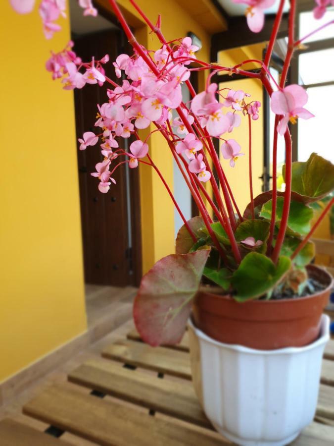 Bilona - La Colina Appartement Arnuero Buitenkant foto